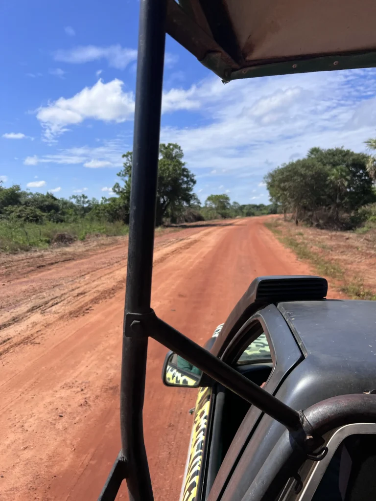 Réserver son excursion au Pantanal 
